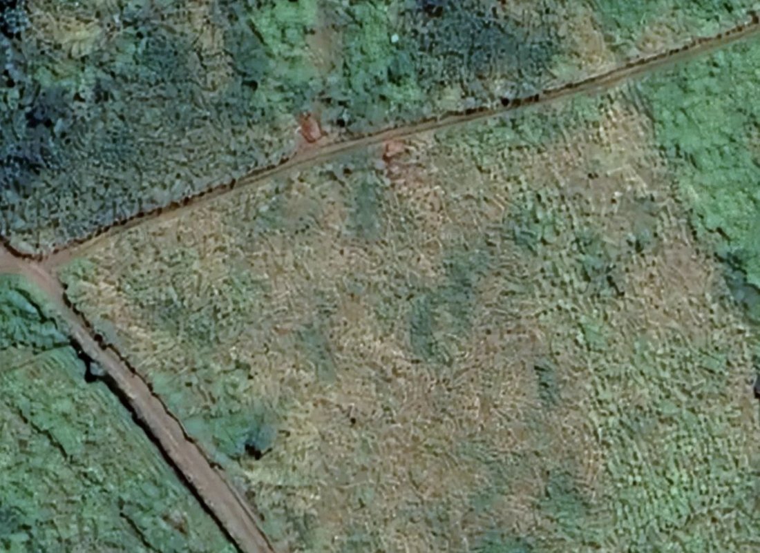 Spacious 2000 Sqm Plot In In Grand Baie, Rivière Du Rempart District