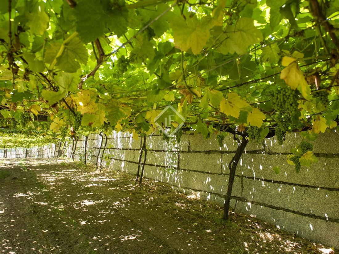 Terreno a Caticovas, Galizia, Spagna 5 - 11595364