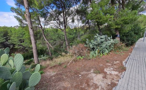 Terrain à Portals Nous, Calvià, Îles Baléares 1