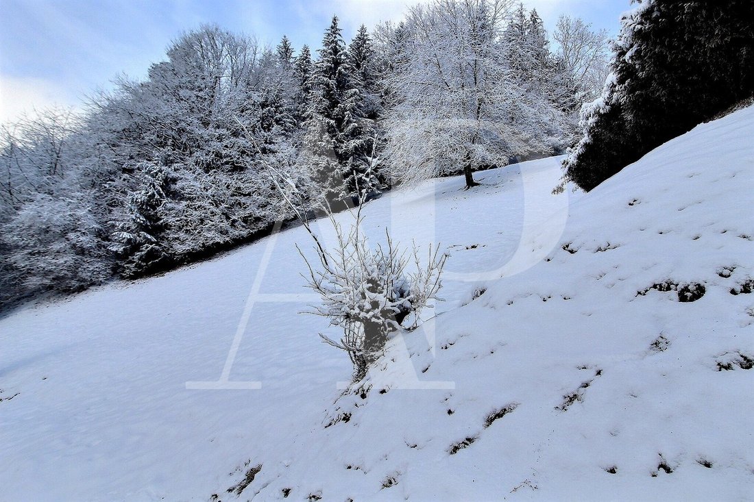 Land in Champéry, Valais, Switzerland 5 - 13335546
