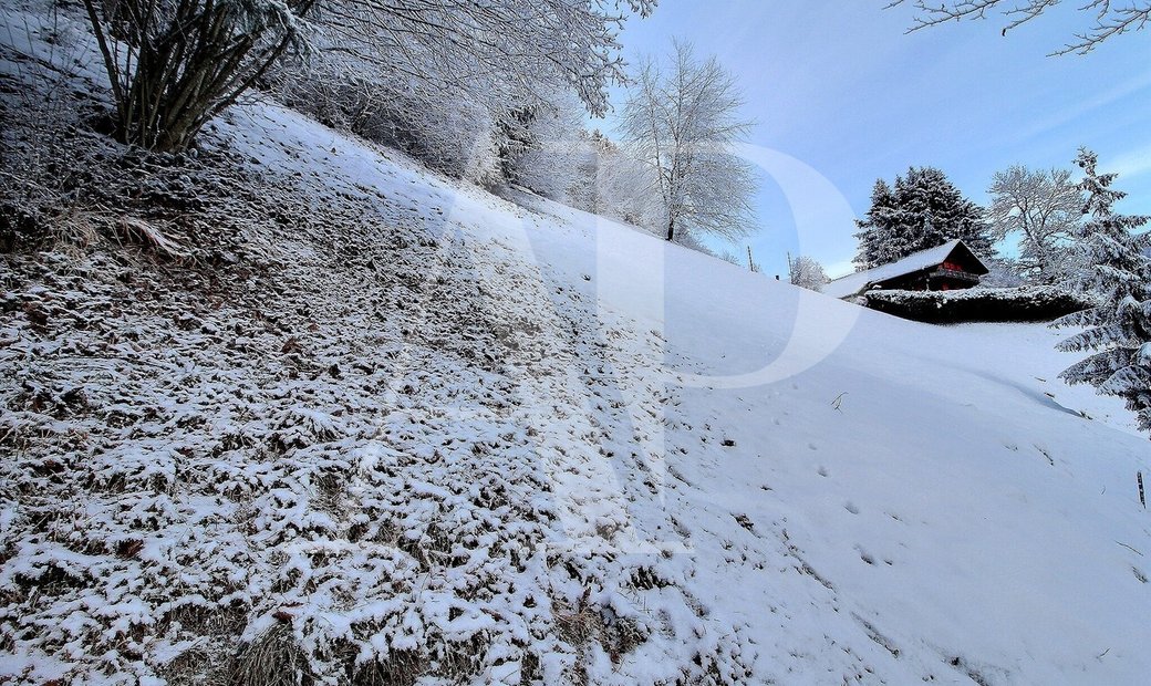 Plot For Sale In Champery In Champéry, Valais, Switzerland For Sale