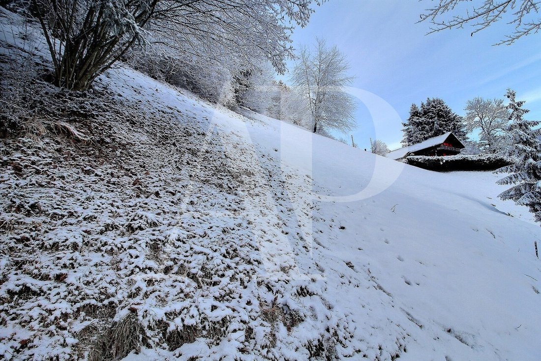 Land in Champéry, Valais, Switzerland 1 - 13335546
