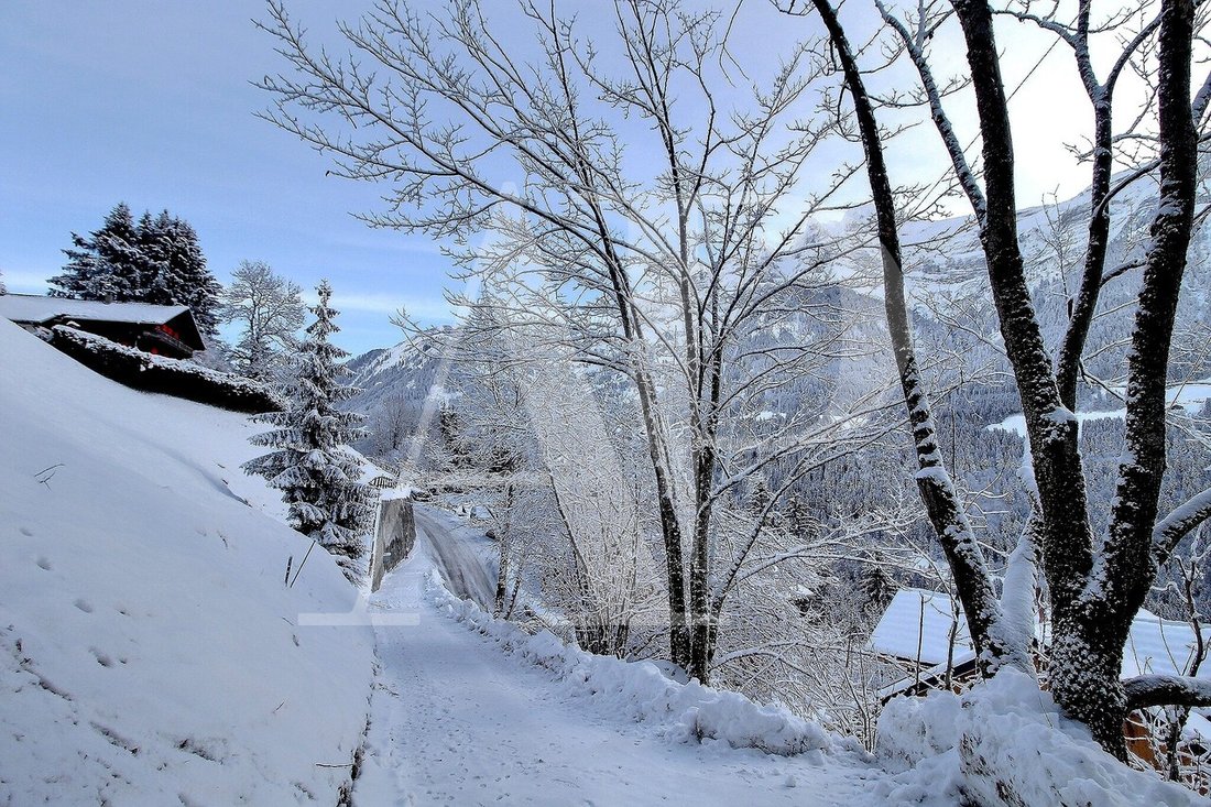 Land in Champéry, Valais, Switzerland 2 - 13335546