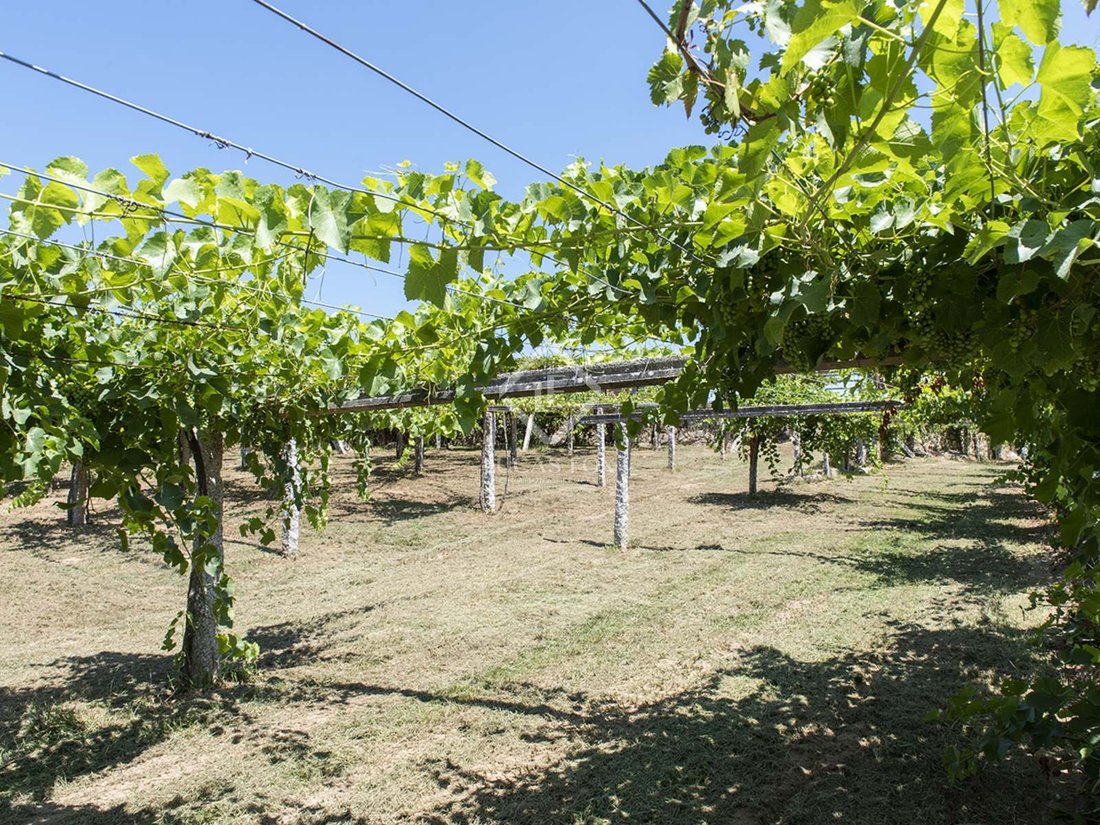 Terreno a Caticovas, Galizia, Spagna 4 - 11595364