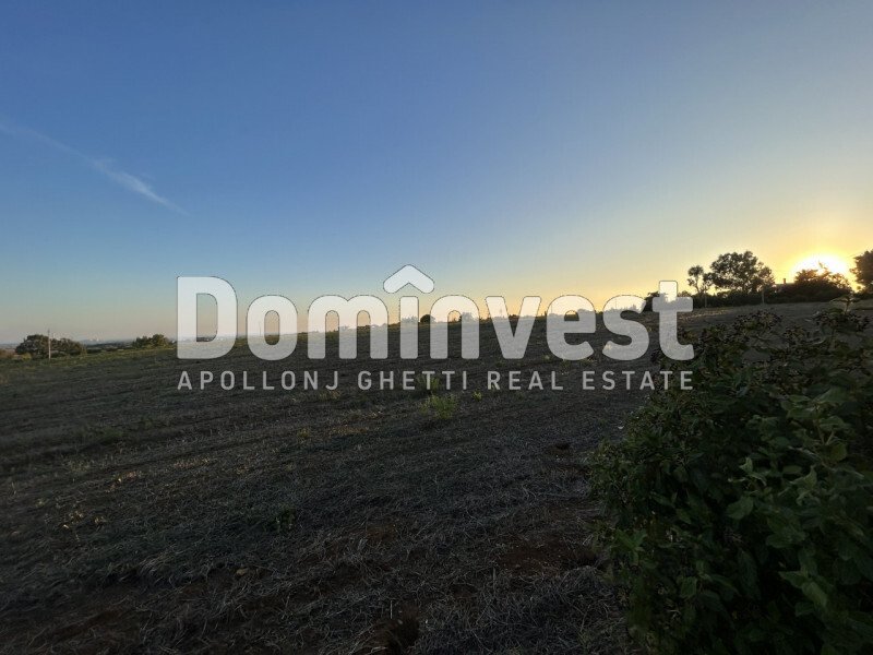 Roma Land In Tuscany, Italy For Sale (13338282)
