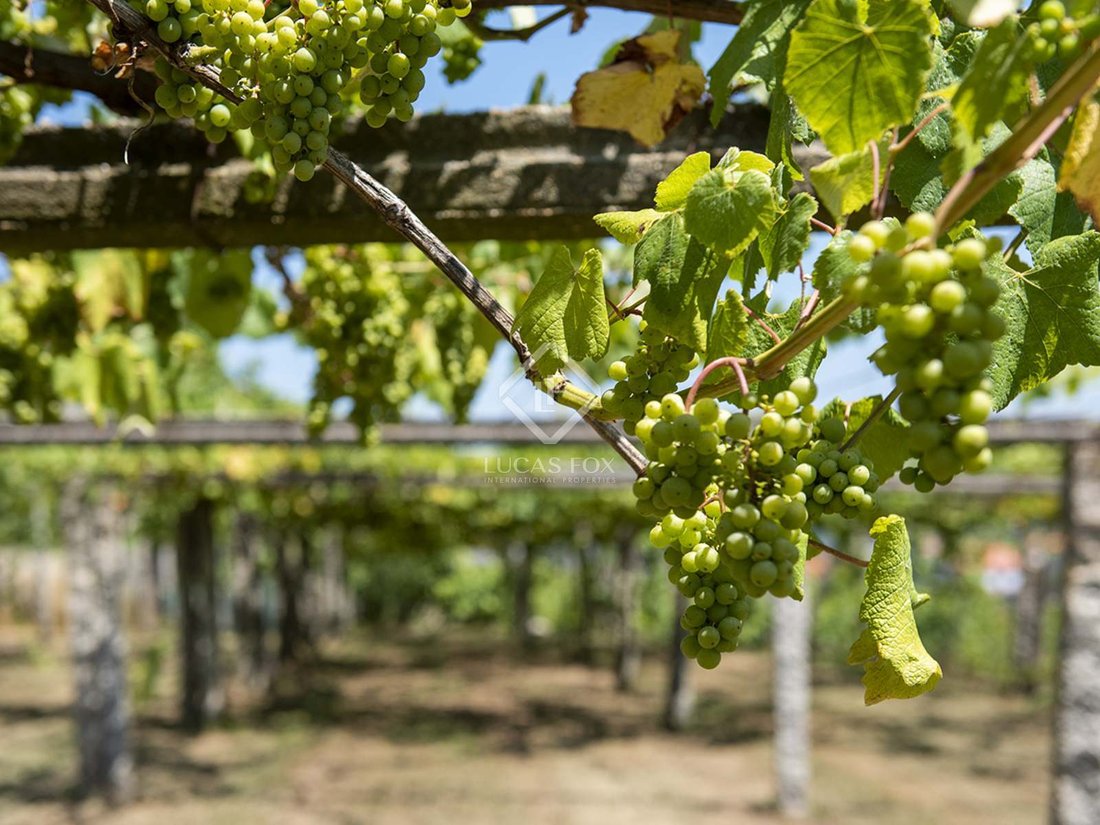 Terreno a Caticovas, Galizia, Spagna 1 - 11595364