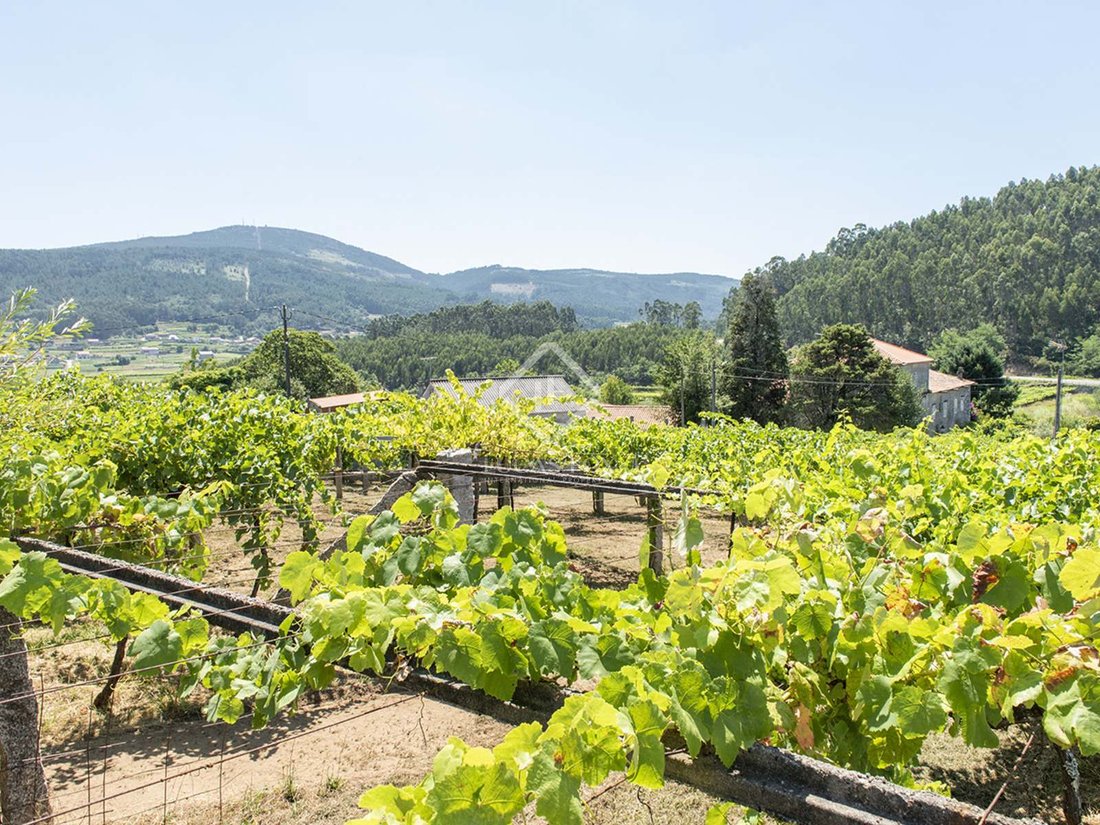 Terreno a Caticovas, Galizia, Spagna 2 - 11595364