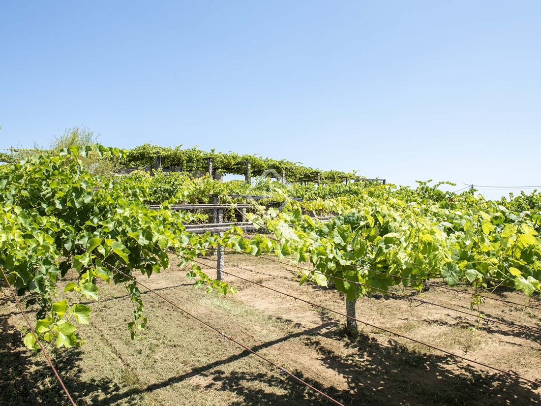 Terreno a Caticovas, Galizia, Spagna 3 - 11595364