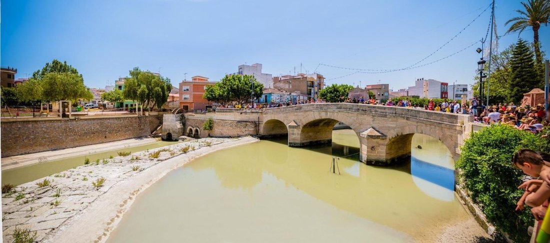 Villa in Rojales, Valencian Community, Spain 3 - 13342000