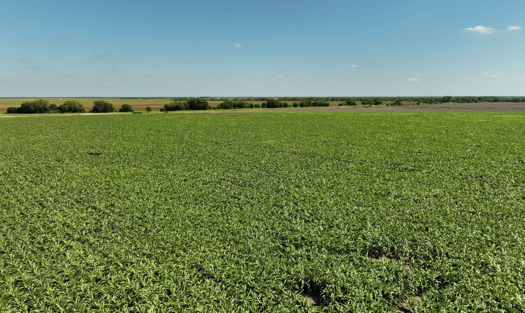 375+/ La Pryor Farm, Zavala County , La In La Pryor, Texas, United