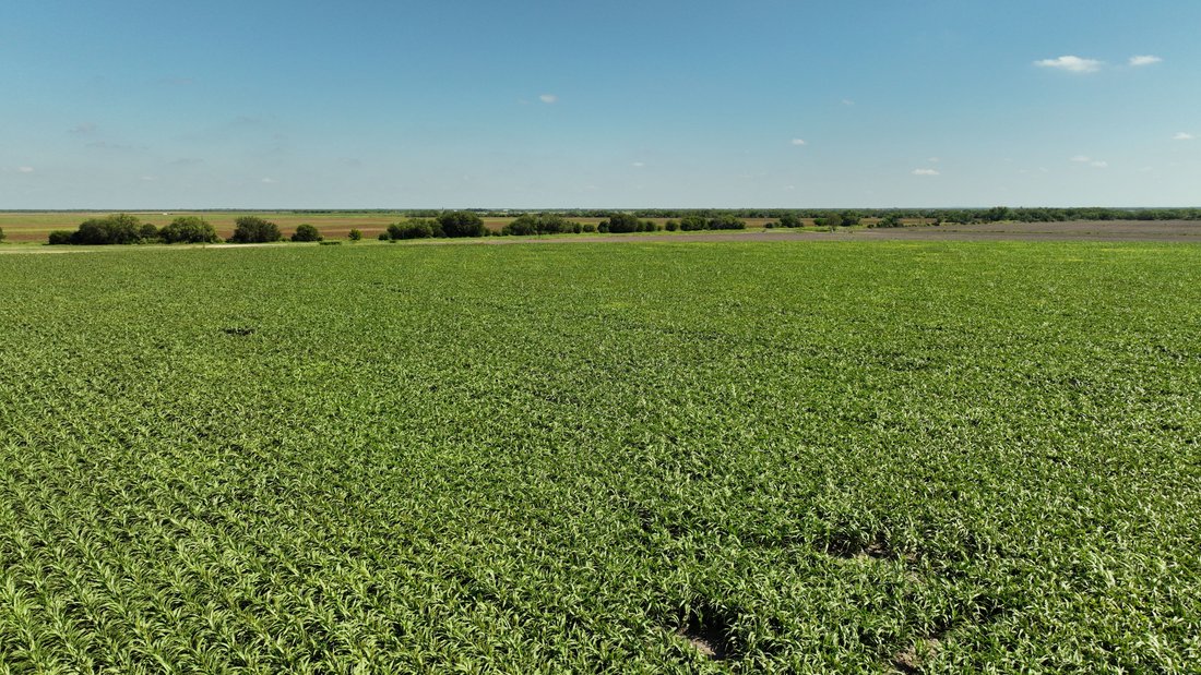 375+/ La Pryor Farm, Zavala County , La In La Pryor, Texas, United