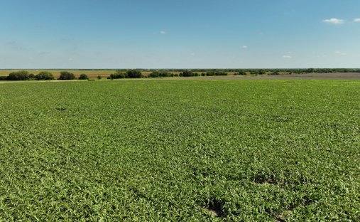 Farm Ranch in La Pryor, Texas, United States 1