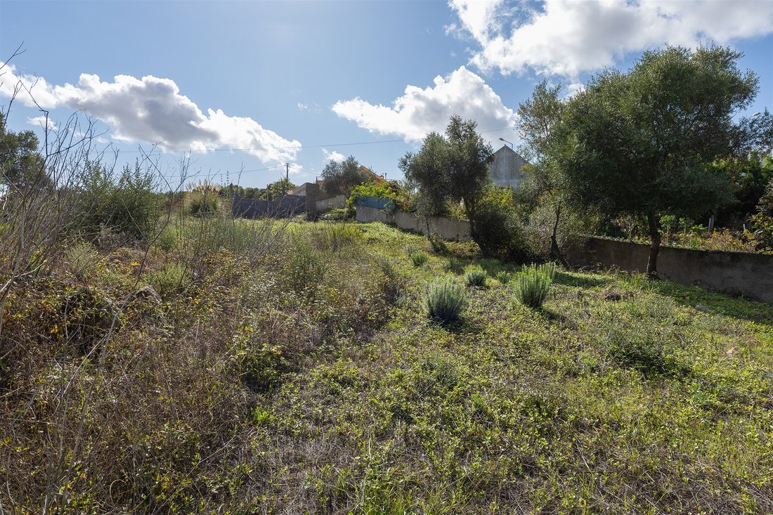 Land in Alcabideche, Lisbon, Portugal 1 - 13343009