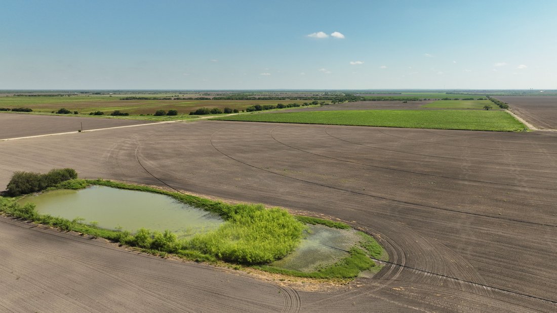 375+/ La Pryor Farm, Zavala County , La In La Pryor, Texas, United States For Sale (13343030)