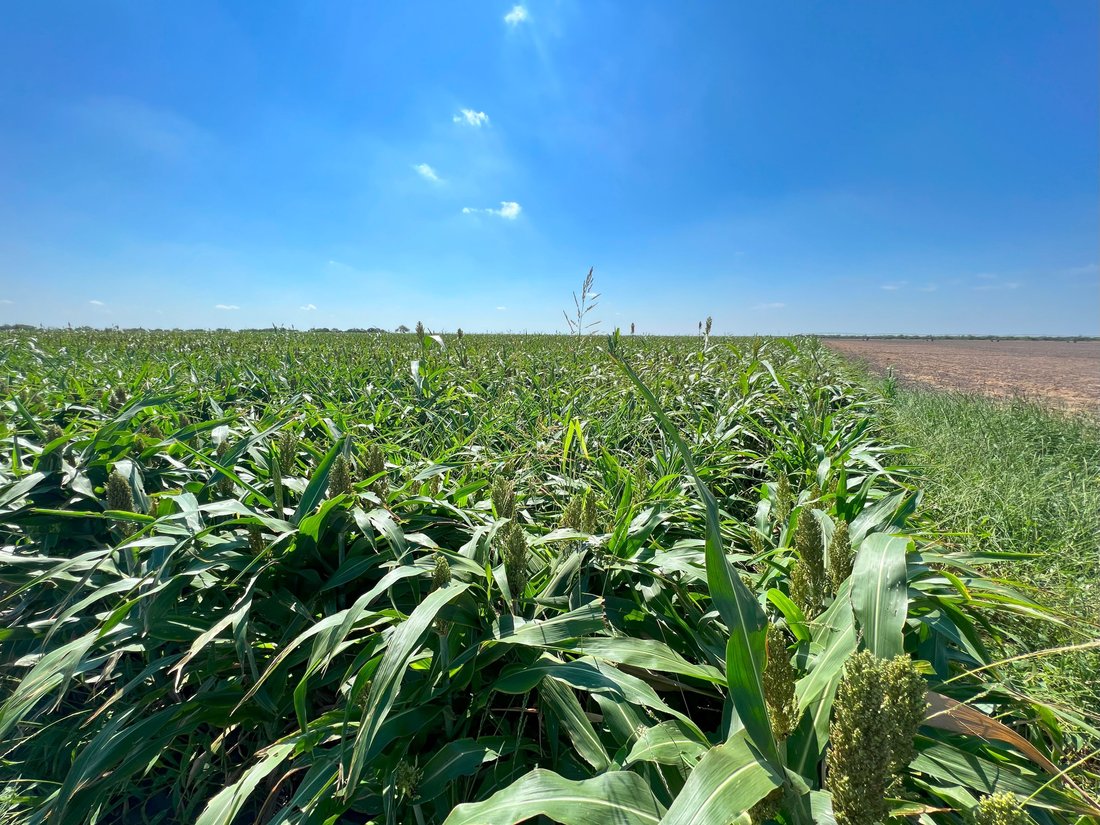 375+/ La Pryor Farm, Zavala County , La In La Pryor, Texas, United