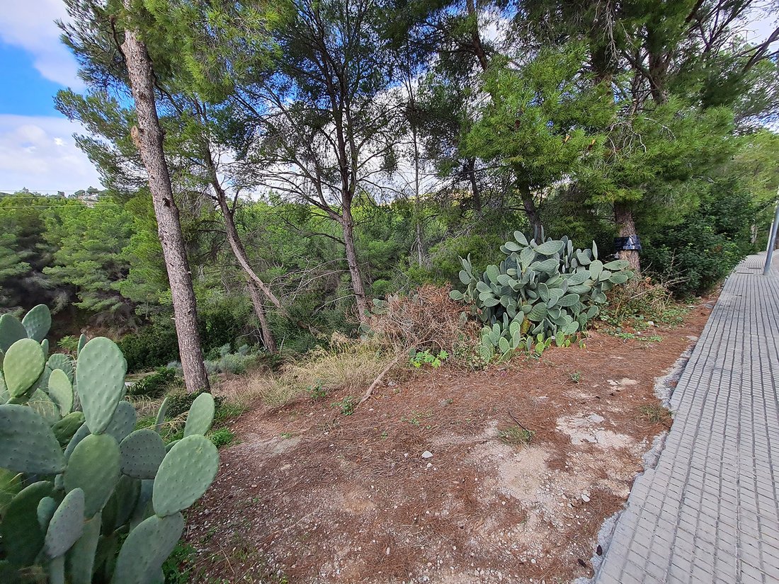 Portals Nous Land In Portals Nous, Balearic Islands, Spain For Sale