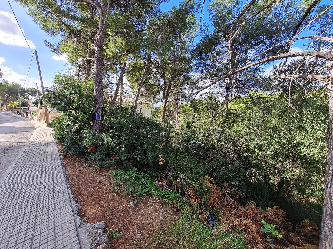 Portals Nous Land In Portals Nous, Balearic Islands, Spain For Sale