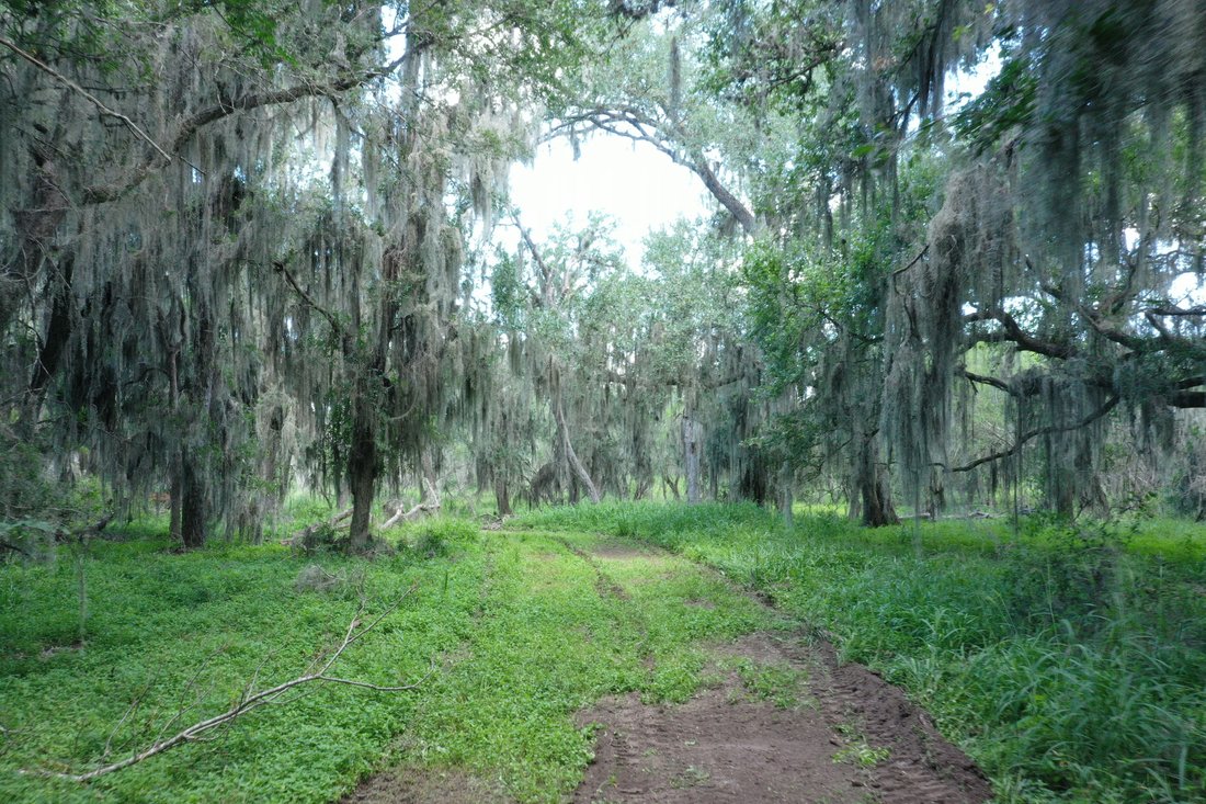 837+/ Acres Driftwood Ranch, Live Oak In Three Rivers, Texas, United