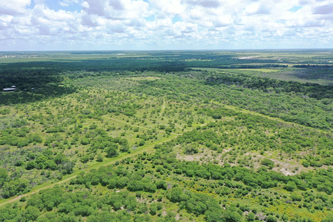 837+/ Acres Driftwood Ranch, Live Oak In Three Rivers, Texas, United