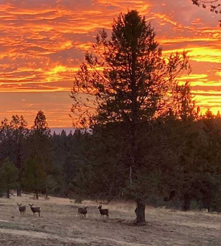 Ritter On The River In Long Creek, Oregon, United States For Sale