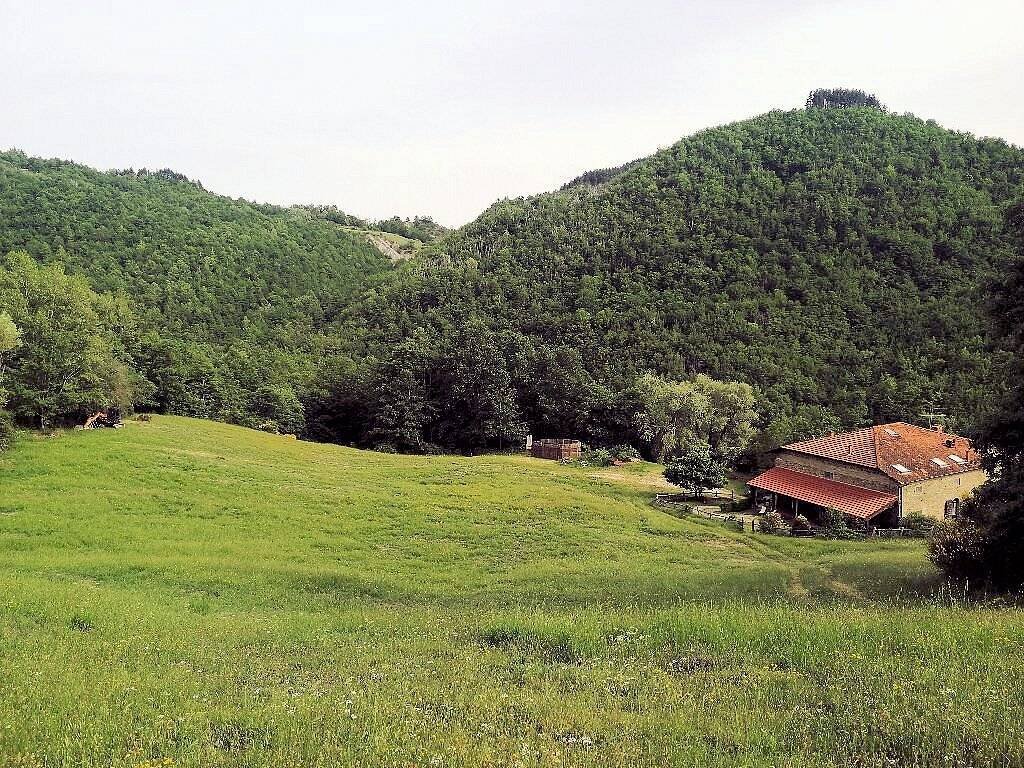 Maisons de campagne à Pratovecchio Stia, Toscane, Italie 4 - 13345232