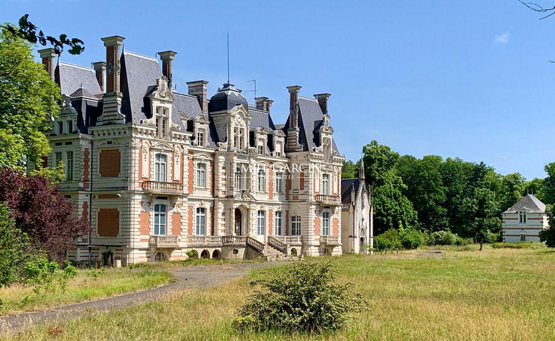 For Sale Chateau On 54 Hectares In In La Flèche, Pays De La Loire