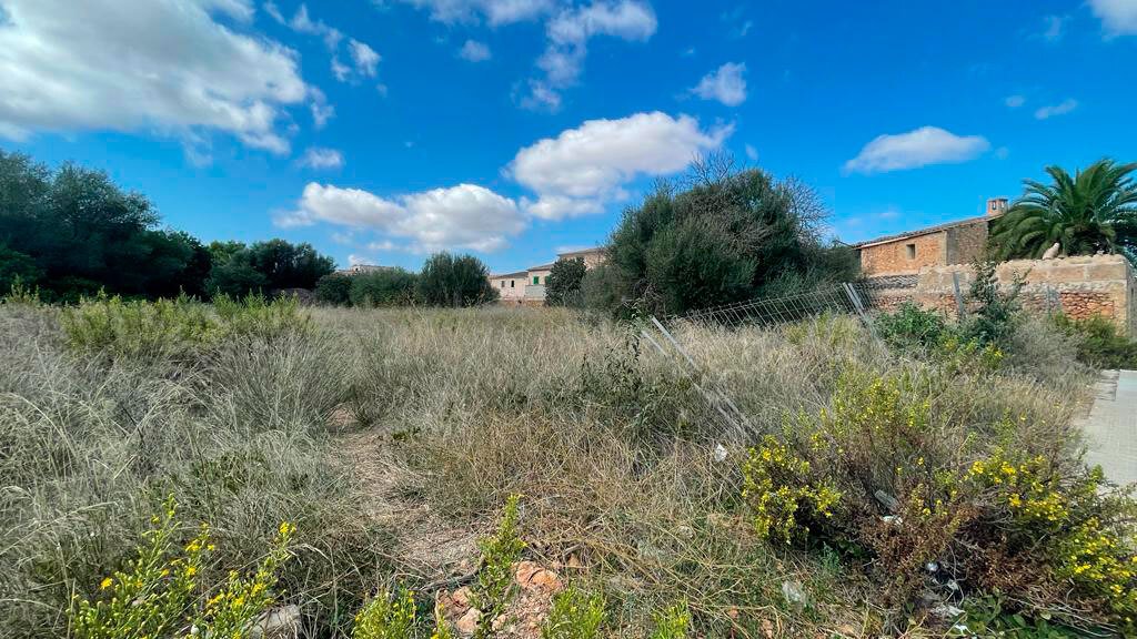 Campos, Balearic Islands, Spain 2 - 13332296