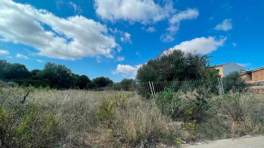 Campos, Balearic Islands, Spain 1 - 13332296