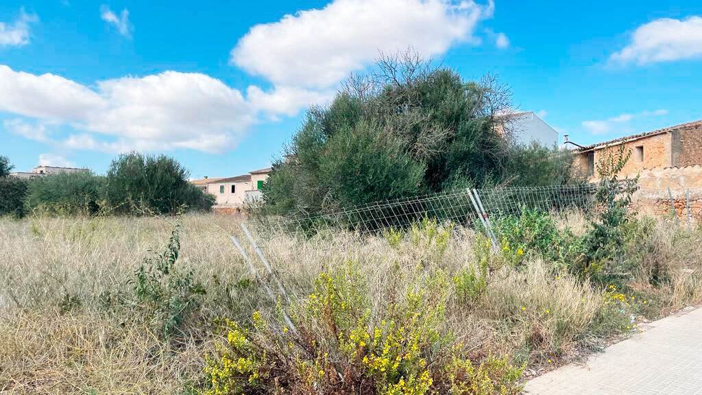 Campos, Balearic Islands, Spain 3 - 13332296