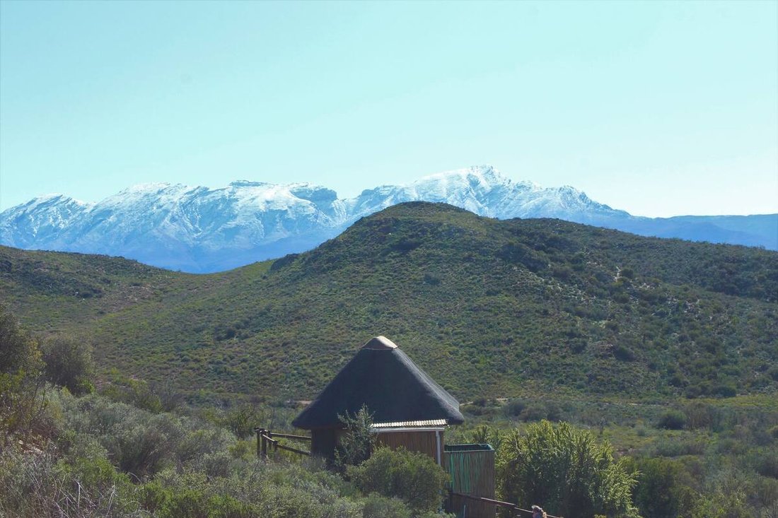 Farm Ranch in Oudtshoorn, Western Cape, South Africa 5 - 13354202