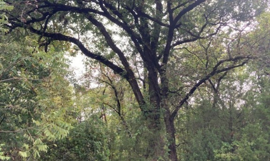 Lots And Land Edmond In Edmond, Oklahoma, Vereinigte Staaten Zu