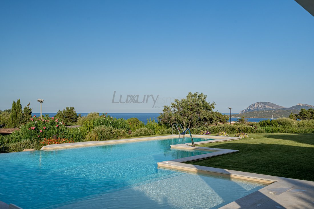 Villa in Porto Rotondo, Olbia, Sardinia 3 - 12746101