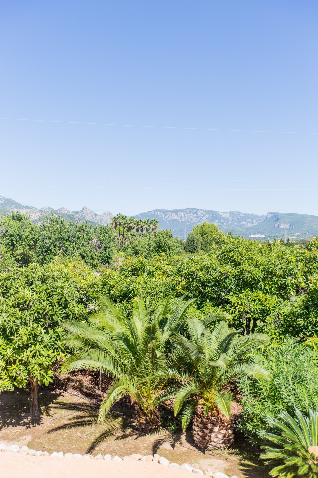 Finca in Bunyola, Balearic Islands, Spain 5 - 13360204