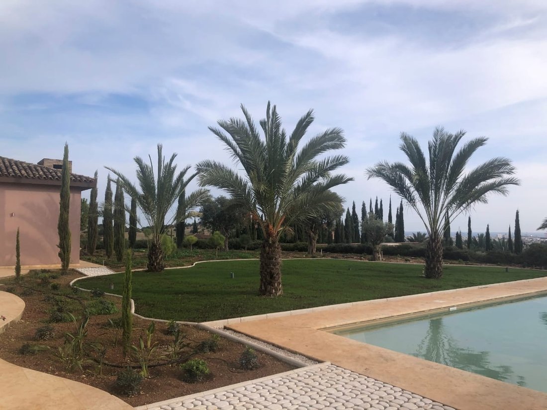 Villa in Kato Polemidia, Limassol, Cyprus 4 - 13358850