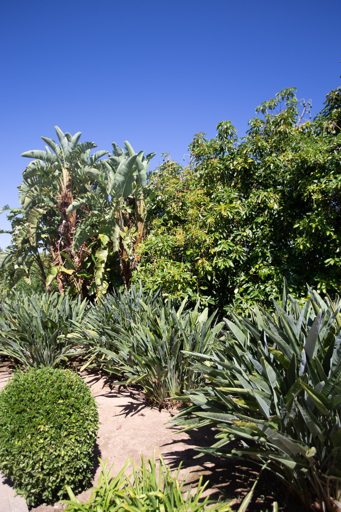 Finca in Bunyola, Balearic Islands, Spain 4 - 13360204