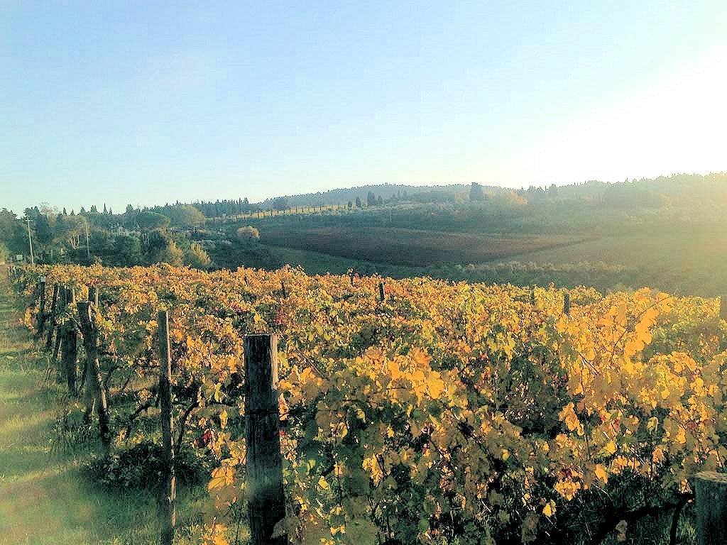 Country House in Center, Grosseto, Tuscany 1 - 13362409