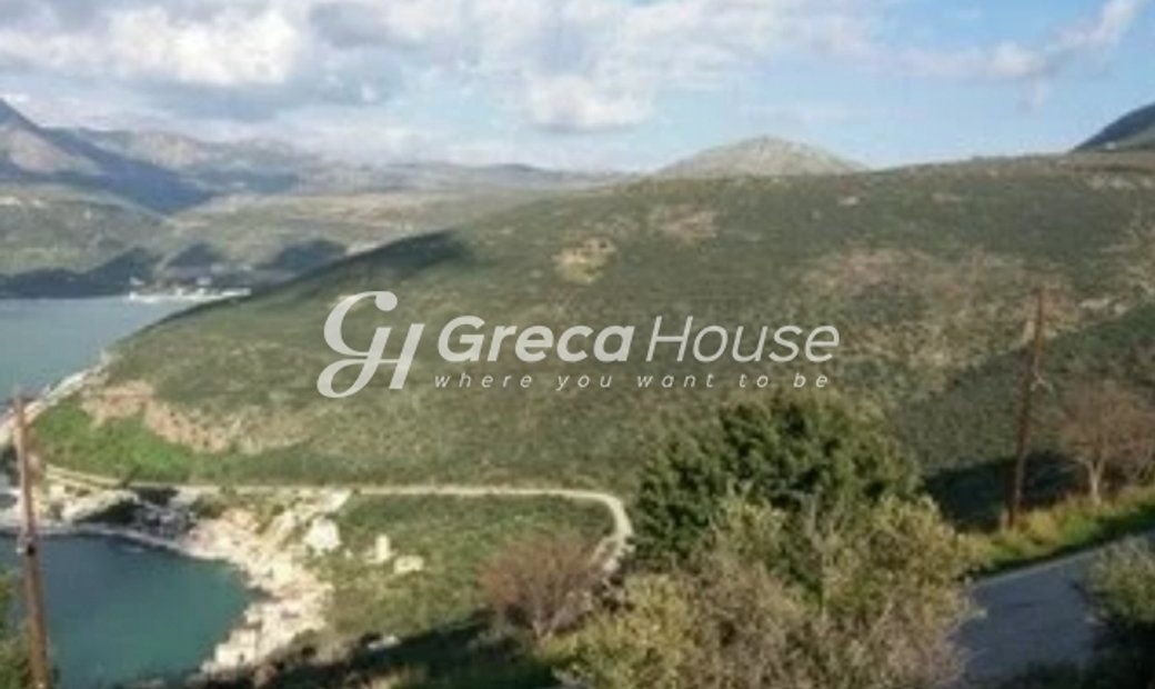 Agricultural 90500 Sq.M For Sale In Limeni, Greece For Sale (13361205)
