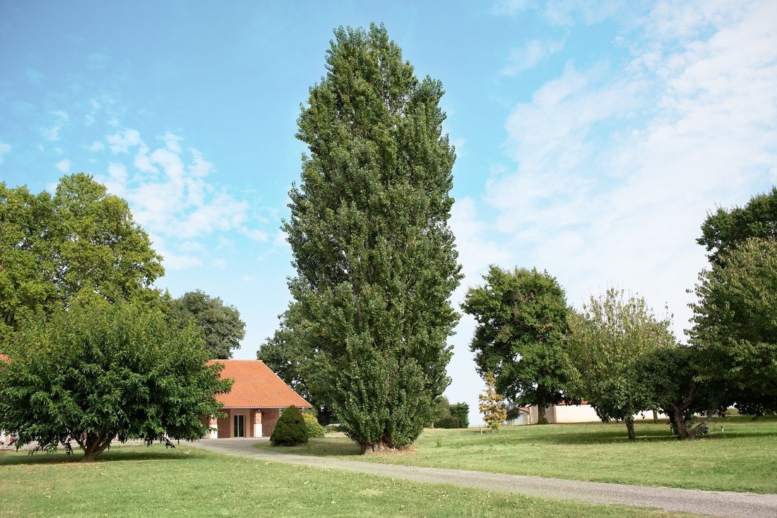 House in Nord, Caussade, France 3 - 13235714