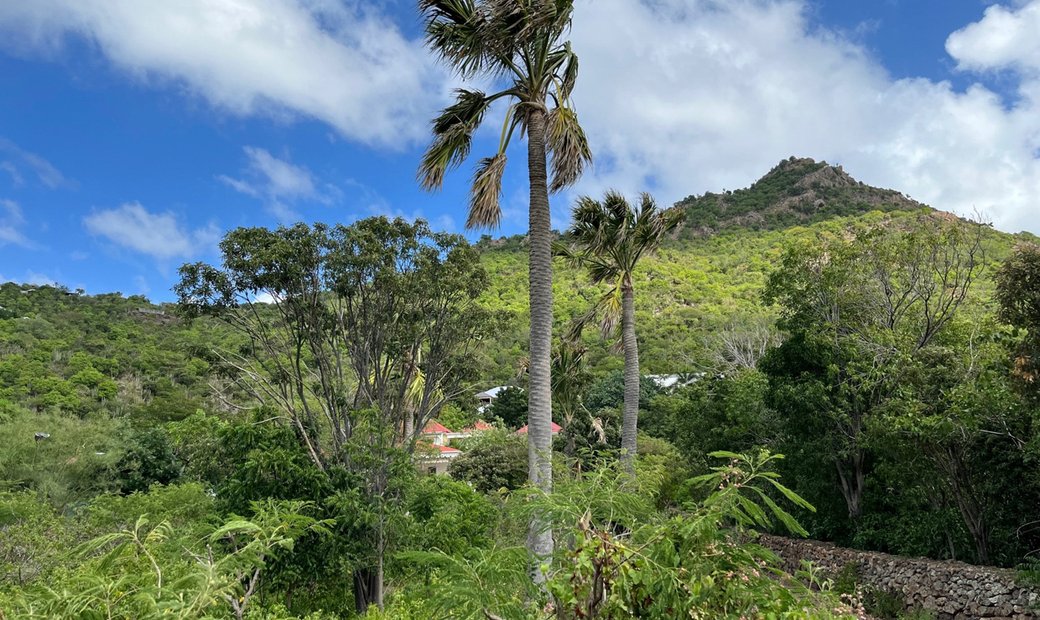 Land Edi In Gustavia, Saint Barthélemy For Sale (13361930)