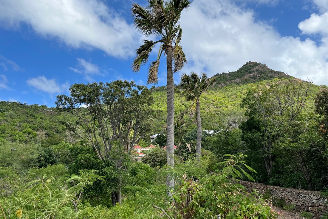 Land Edi In Gustavia, Saint Barthélemy For Sale (13361930)