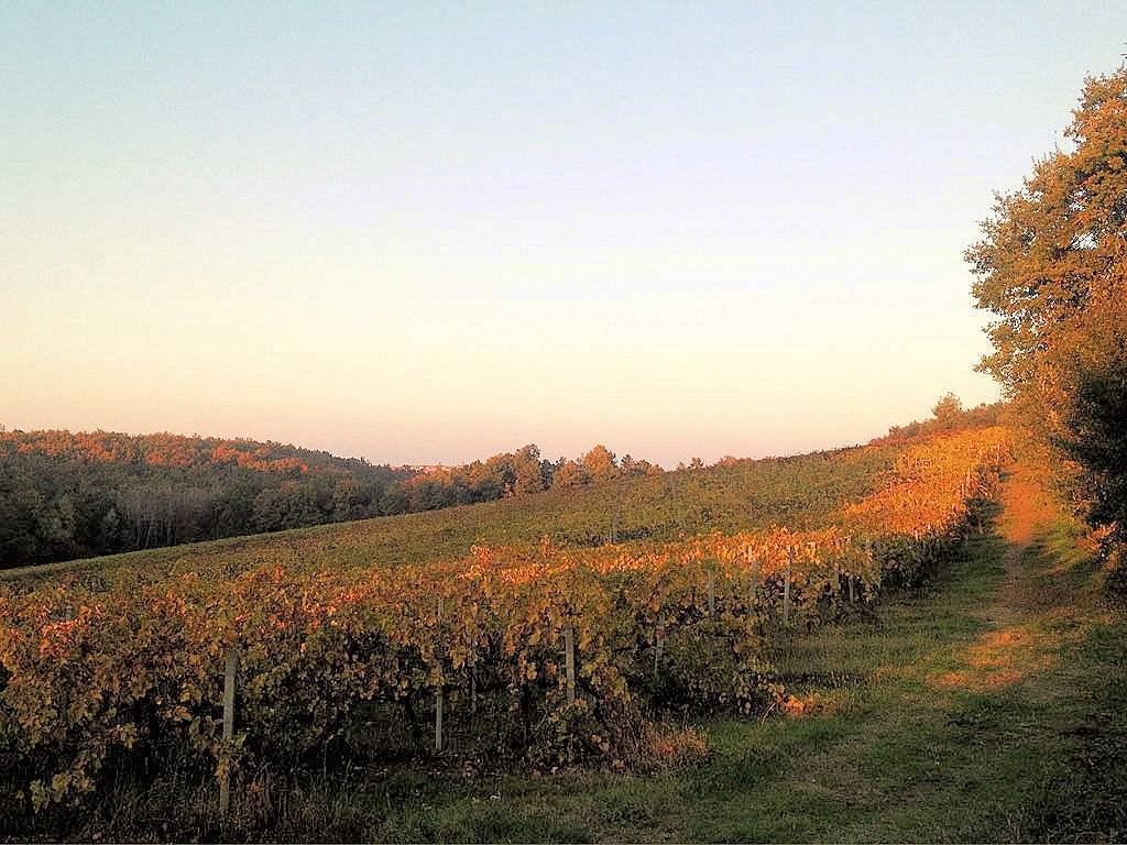 Country House in Center, Grosseto, Tuscany 4 - 13362409