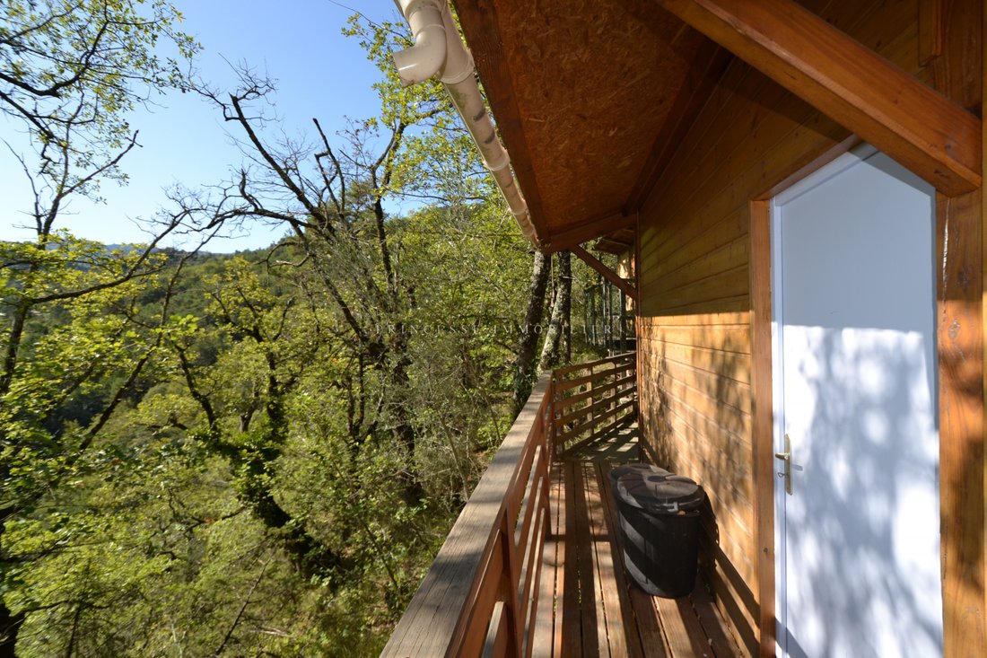 House in Tournefort, Provence-Alpes-Côte d'Azur, France 5 - 13361095