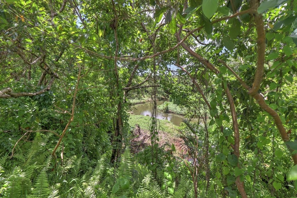 Parcel Of Land Of 31 In Vacoas Phoenix, Plaines Wilhems District