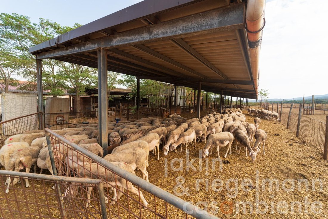Farm Ranch in Center, Grosseto, Tuscany 1 - 13370378