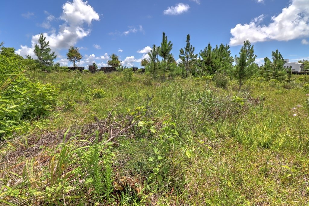 Plot Of Land Of 31 In Vacoas Phoenix, Plaines Wilhems District