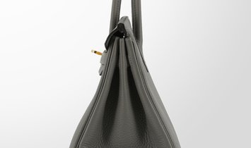 HERMÈS Birkin 25 Togo Leather Handbag - Gris Meyer with Gold Hardware