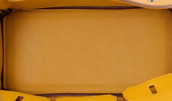 HERMÈS Birkin 25 Togo Leather Handbag - Jaune Ambre with Palladium Hardware