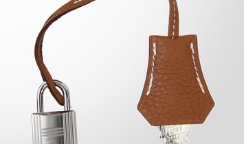 HERMÈS Birkin 25 Togo Leather Handbag - Gold with Palladium Hardware