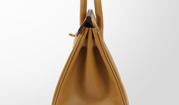 HERMÈS Birkin 25 Tadelakt Leather Handbag - Poussiere with Gold Hardware