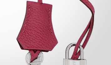 HERMÈS Birkin 25 Retourne Handbag in Rubis Togo Leather with Palladium Hardware